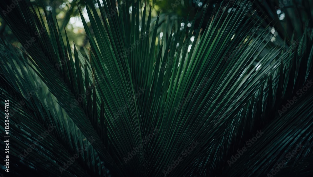 Obraz premium Deep dark green palm leaves pattern serving as a UI backdrop for tropical-themed interfaces, Earth Day