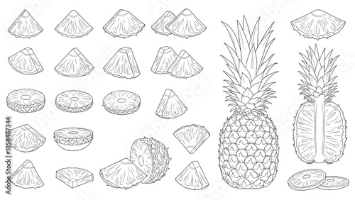 Large collection of pineapple slices, wedges, and whole fruits shown in detailed line art for recipe books or food charts.