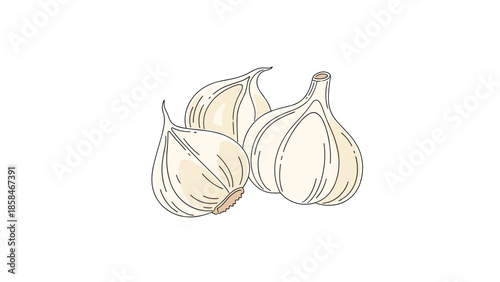 Illustration of three whole garlic bulbs with their papery skins in a group for cooking, flavor, or health themes.