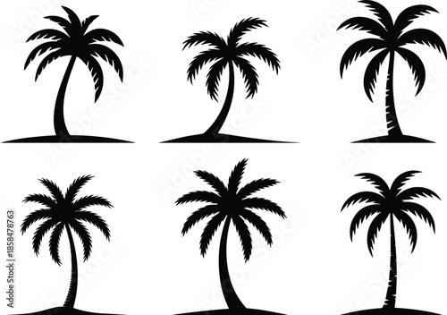 Set of Minimalist black palm tree silhouette vector icon