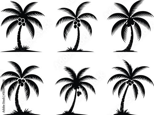 Set of Minimalist black coconut tree with coconuts silhouette vector icon
