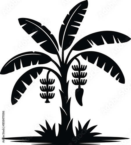 Minimalist black banana tree with fruit bunch silhouette vector icon