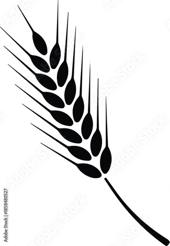 Minimalist black wheat stalk and sheaf silhouette vector icon