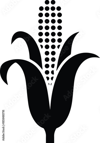 Minimalist black corn stalk with corn cobs silhouette vector icon