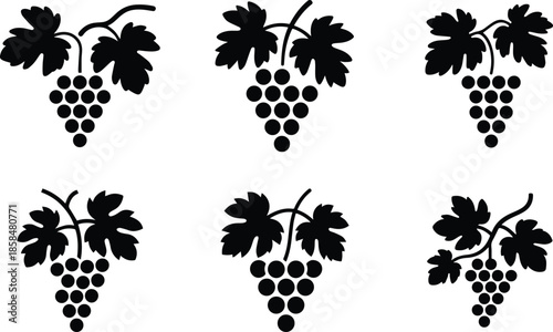 Set of Minimalist black grape vine with fruit bunches silhouette vector icon