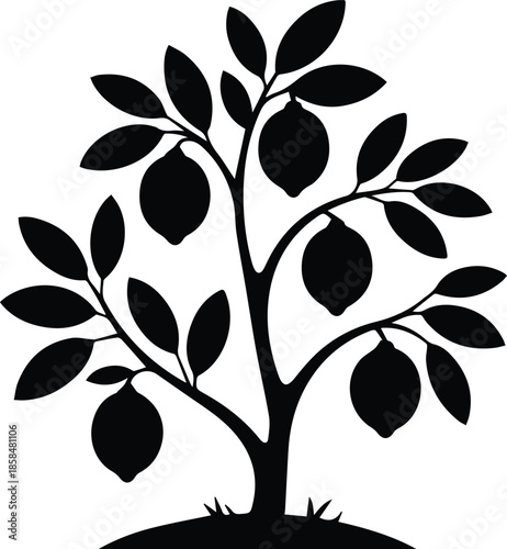 Minimalist black lemon tree with citrus fruits silhouette vector icon