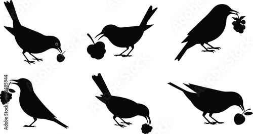 Set of Minimalist black bird eating a berry silhouette vector icon
