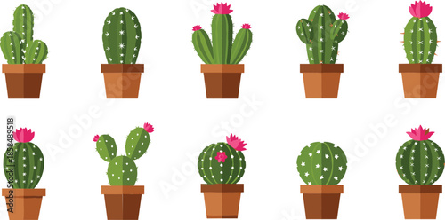 Collection of Colorful Potted Cactus Plants with Pink Flowers for Desert Flora, Succulents, and Home Decor