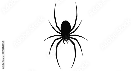 Black silhouette of a large spider with long legs crawling against a plain white background for design.