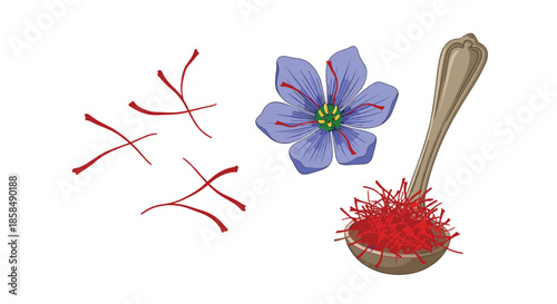 Premium saffron spice depicted through its delicate purple flowers and vibrant red threads collected in a silver spoon for culinary excellence.