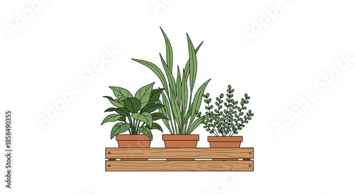 Trio of different indoor potted house plants with fresh green leaves sitting together on a rustic wooden crate shelf.