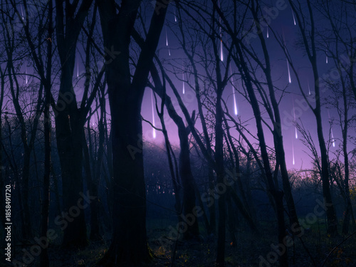 Shooting stars in the forest. Meteor shower in the sky above the trees. Dreamy night landscape with bright fireball trails.