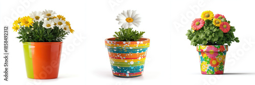 Three colorful plant pots with cheerful daisies and vibrant designs create lively and joyful atmosphere. Each pot features unique patterns and bright colors, enhancing beauty of flowers