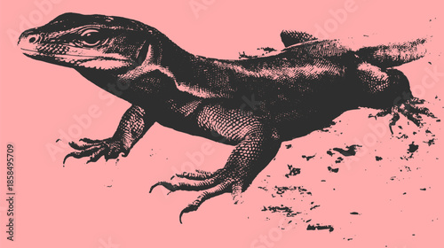 Lizard illustration in black graphic style. Detailed vector artwork isolated on a pink background, presenting a vintage representation of this reptile.