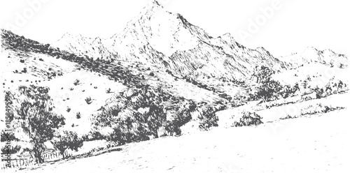 Mountain landscape illustration in black and white. Detailed vector sketch of trees and hills, providing a scenic rural backdrop.