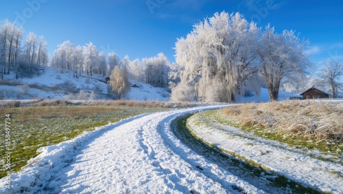 Winter scenery with snow blanketing trees, grass, and a road under a clear blue sky, seasonal change