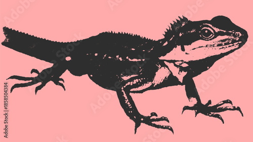 Lizard silhouette illustration in black on a pink background. Detailed vector artwork showcasing its body, claws, and texture in a simple design.