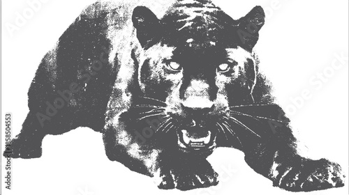 Vector illustration of a roaring panther silhouette. Black animal set showcasing a striking and aggressive design in detailed graphic style.