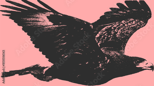 Eagle flying with outstretched wings. Vintage black vector illustration against a pink background, forming a striking design set.
