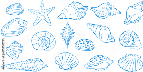 Blue seashells and starfish series of hand-drawn illustrations, coastal illustration set，Suitable for beach-themed designs, summer stationery, scrapbooks, nautical brand promotions