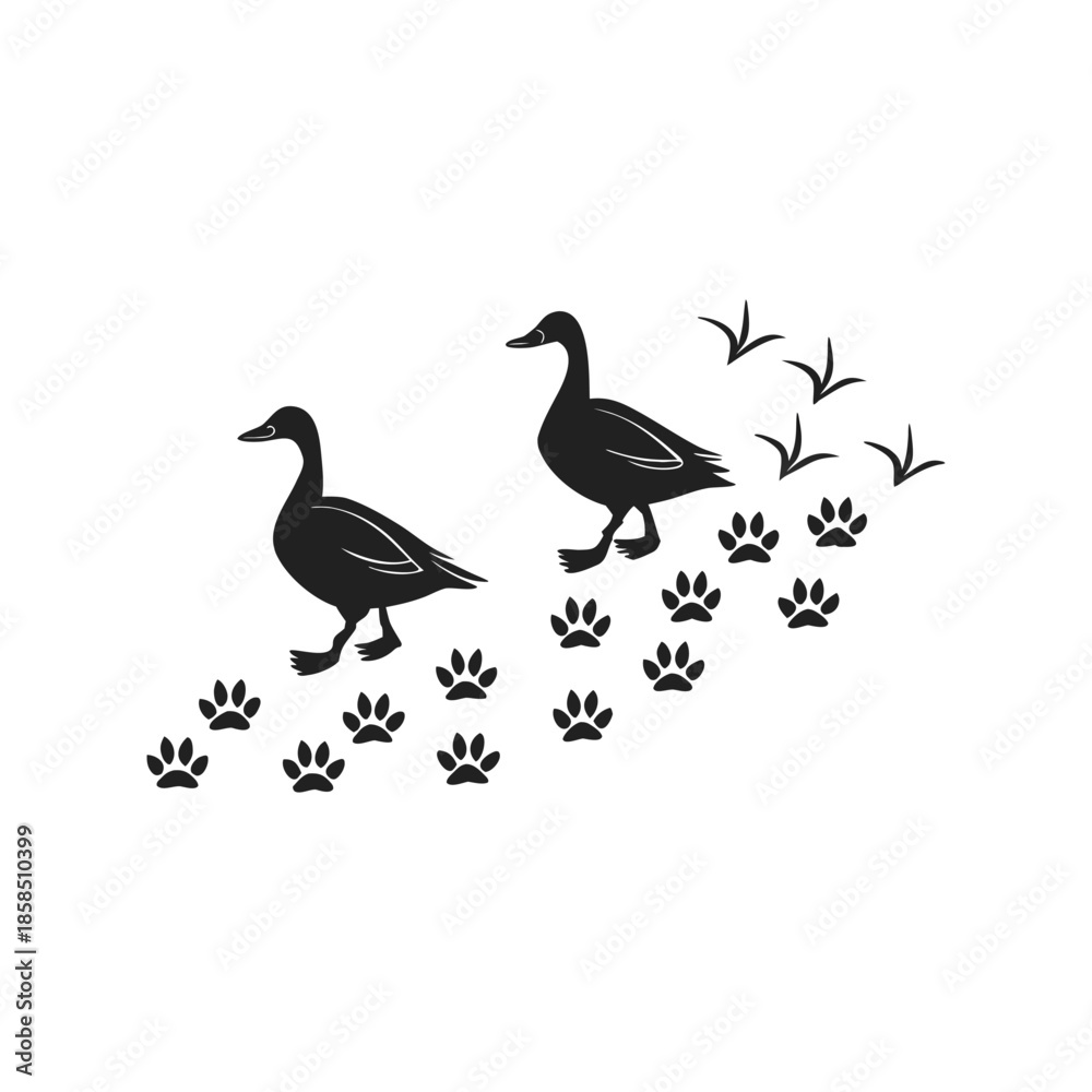 Fototapeta premium Duck and Goose Footprints Trail with Birds Vector Silhouette