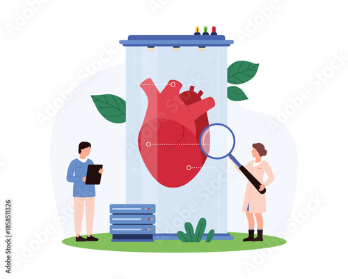 Scientists conducting research on an artificial heart. One examines with a magnifying glass, while another records data on a clipboard, symbolizing advanced medical studies vector illustration.