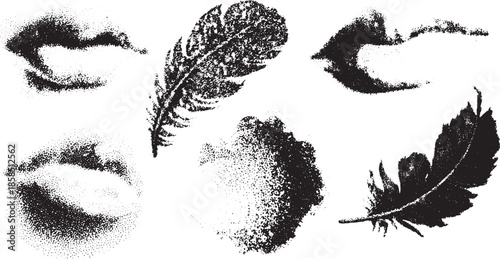 Lips and feathers in black texture. Elegant vector illustration featuring abstract designs and unique shapes in a cohesive set.