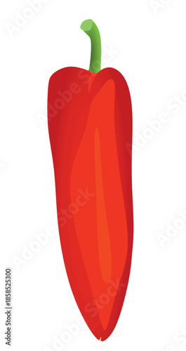 Red pepper on white background, vector