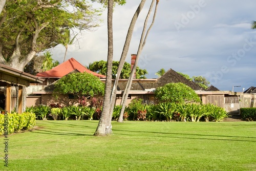 Kailua-Kona's grassy plaza and palm trees
