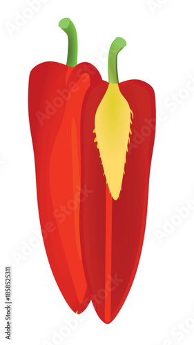 Red pepper on white background, vector