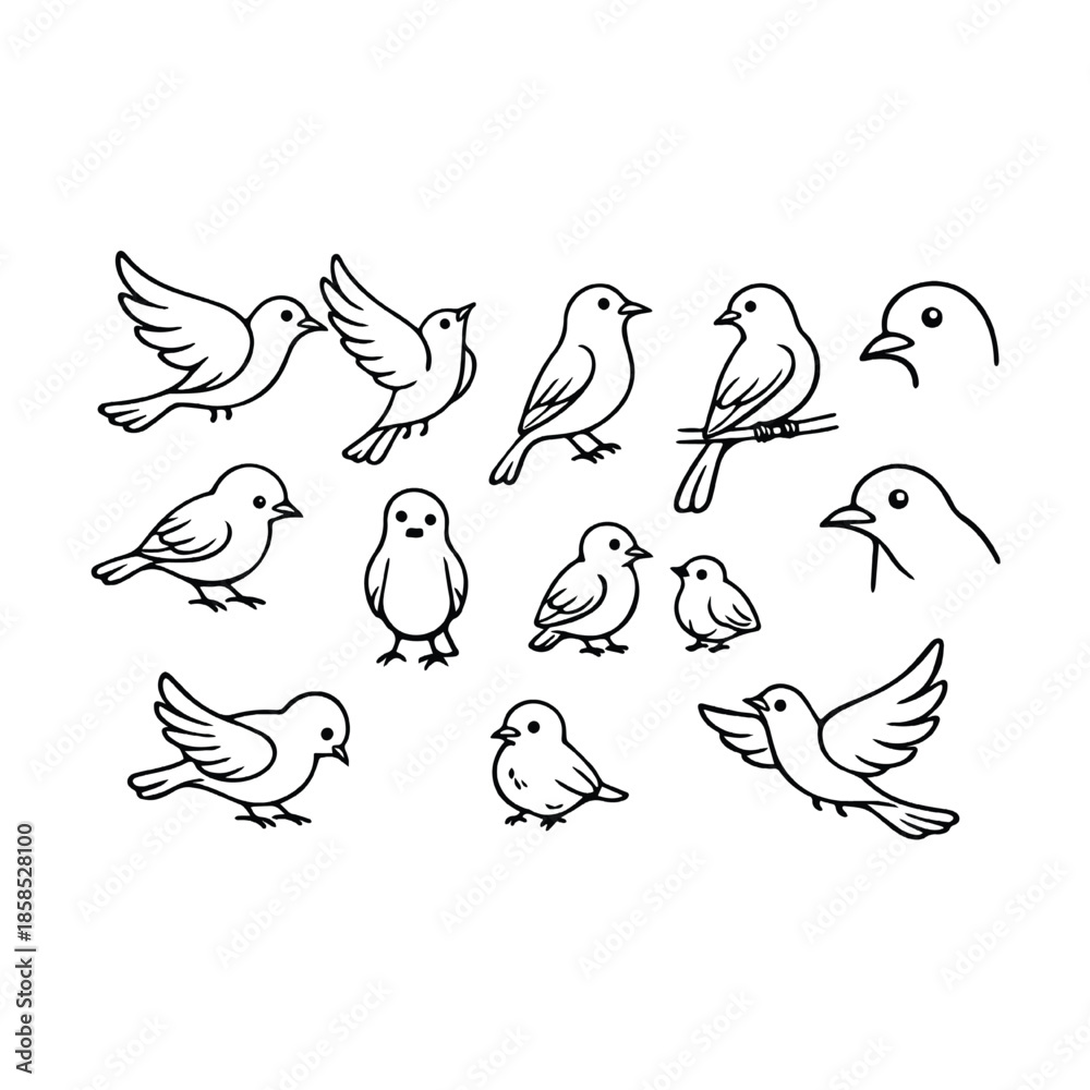 Obraz premium set of birds on white