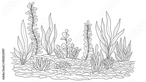 Aquarium Plants Line Drawing Illustration, Underwater Plant Life, Aquatic Vegetation Border