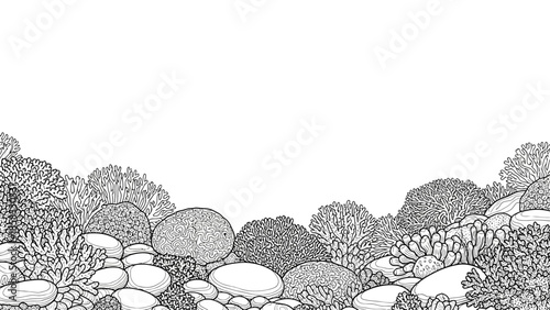 Underwater Coral Reef Line Art Illustration, Marine Life Nature Scene, Black and White Drawing
