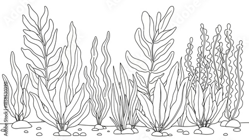 Underwater Plant Line Art - Aquatic Flora Illustration