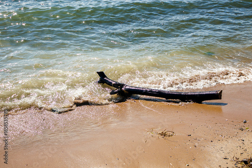 sea waves and tree stump on the beach in sunny summer day
