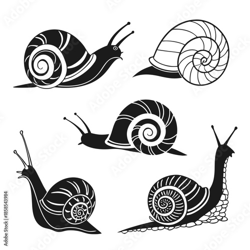 Collection of snail illustrations