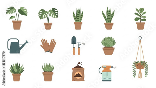Vibrant vector illustrations of indoor houseplants and essential gardening tools. Perfect for urban gardening, home decor, and green lifestyle concepts