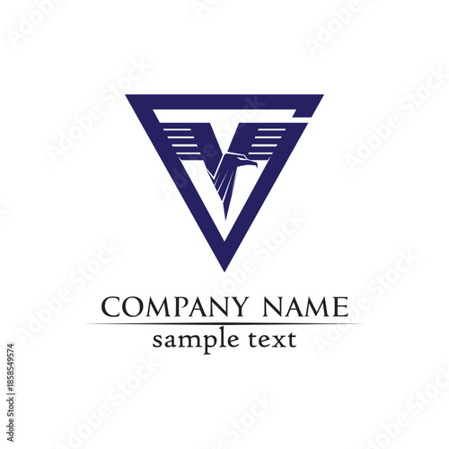  V letters business logo and symbols template