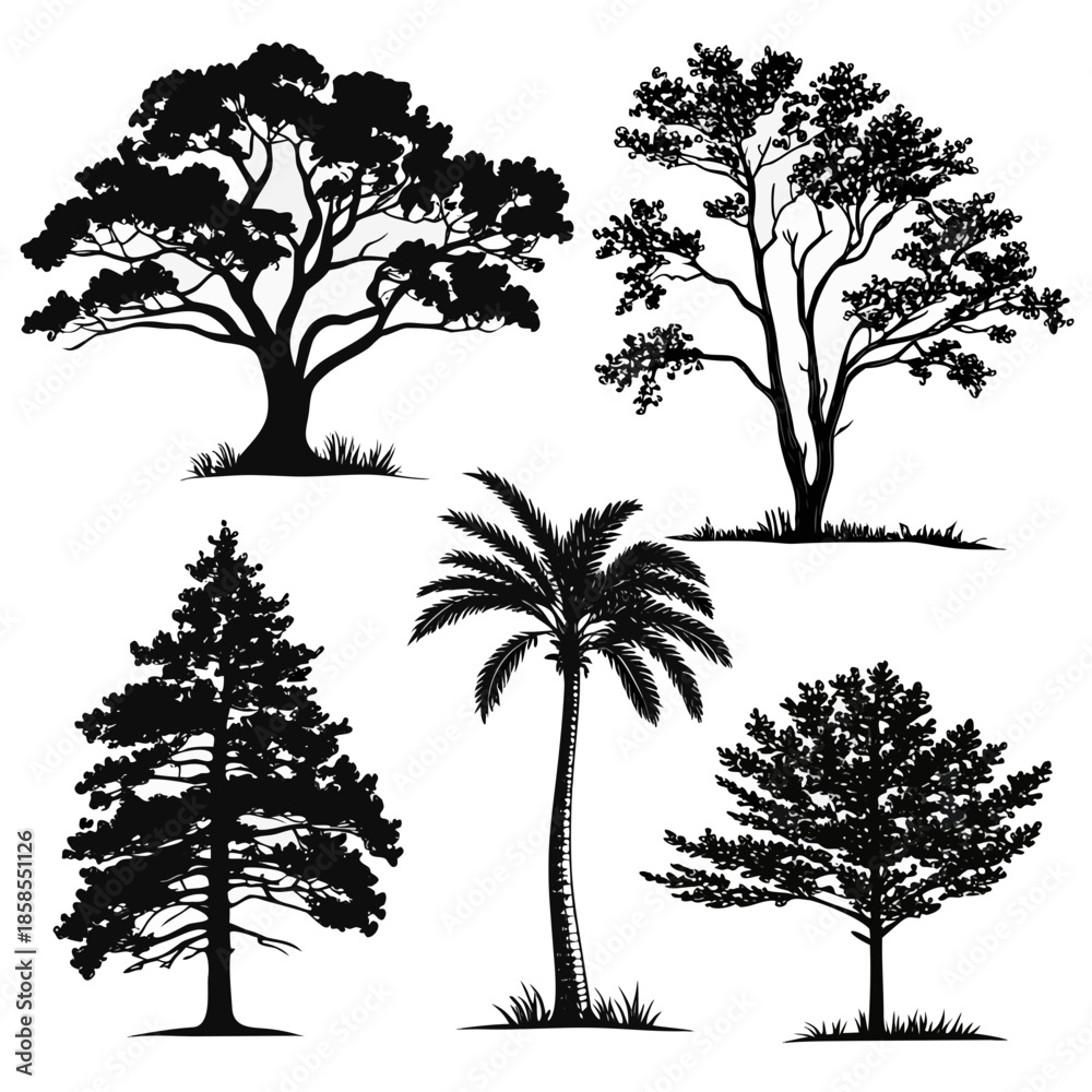 Obraz premium Collection of tree silhouettes