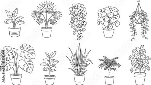 Houseplant silhouette vector illustration, indoor plant design, potted plant line art, decorative foliage graphic, botanical home decor symbol, greenery concept, interior decoration element