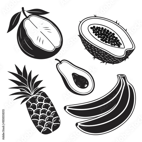 Assorted fruits illustration