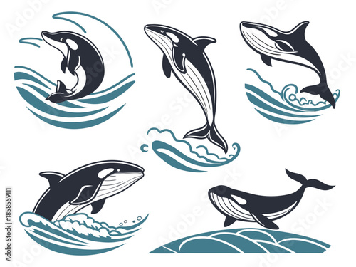 Collection of five stylized whale and dolphin illustrations in dynamic poses with waves orca killer whale