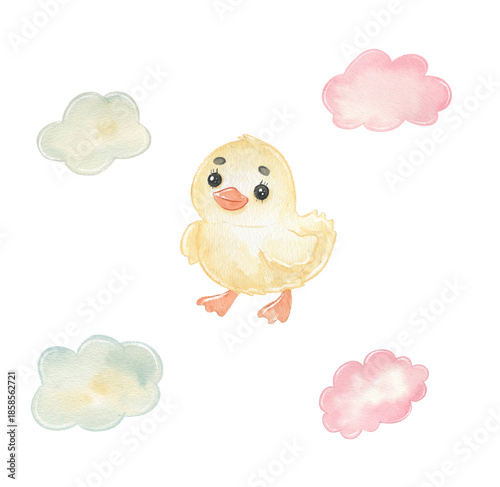 Cute chick and clouds in watercolor design