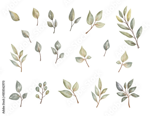 Watercolor leaves arranged in various shapes and sizes