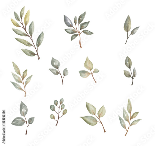 Watercolor leaves arranged in various shapes and sizes