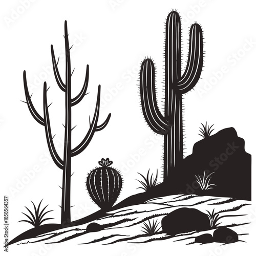 Desert landscape with cacti