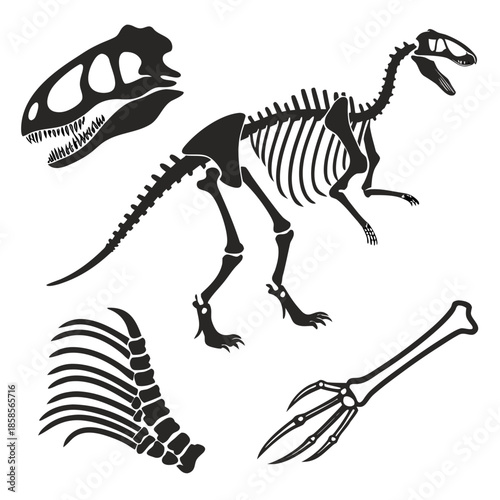 Dinosaur skeleton silhouette