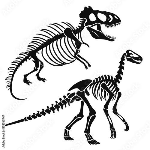 Dinosaur skeleton illustrations