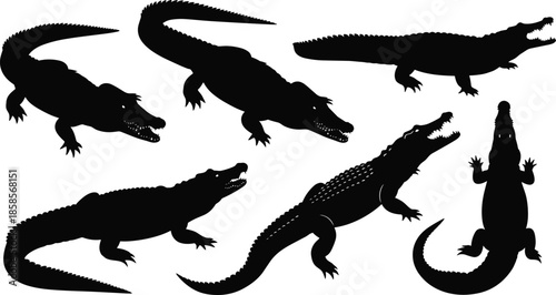 Crocodile silhouette vector illustration, reptile animal poses collection, wild predator artwork design, dangerous teeth snout tail figures, black and white nature set