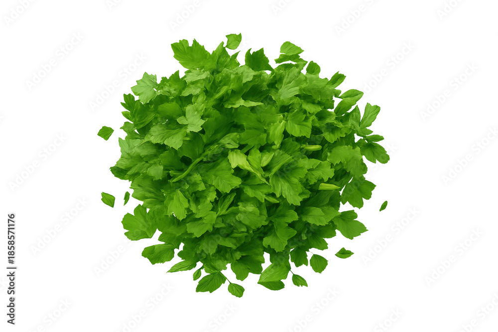 Obraz premium Fresh green parsley herbs preparing for culinary seasoning